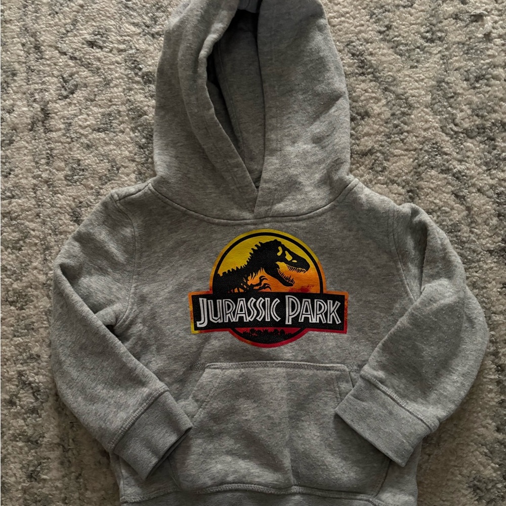 Gray Jurassic Park Toddler Hoodie 2T